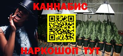PSILOCYBIN Нальчик