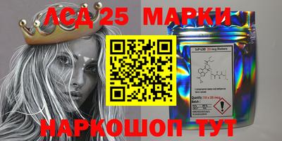 PSILOCYBIN Нальчик