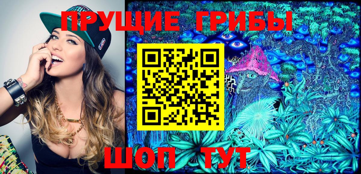 Урус-Мартан  купить наркоту  Вход с VPN  Галлюциногенные грибы MAGIC MUSHROOMS 