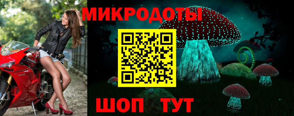 Псилоцибиновые грибы прущие грибы Урус-Мартан